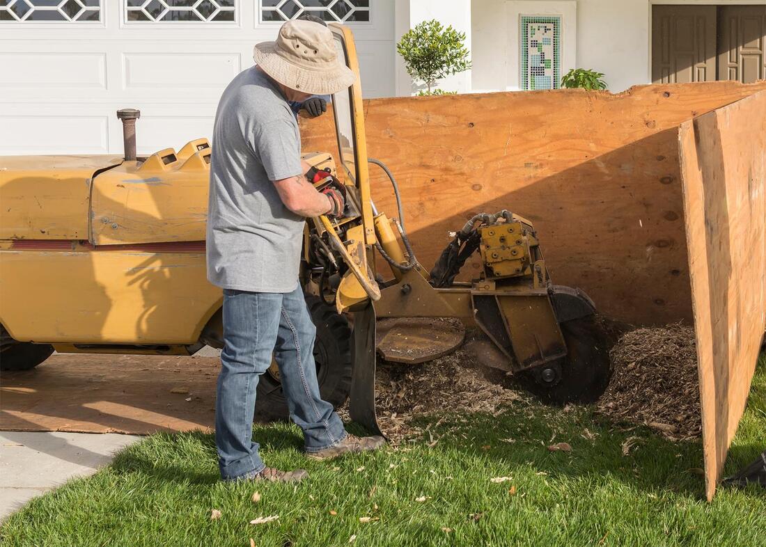 An image of Stump Grinding/Removal Services in Monterey Park CA