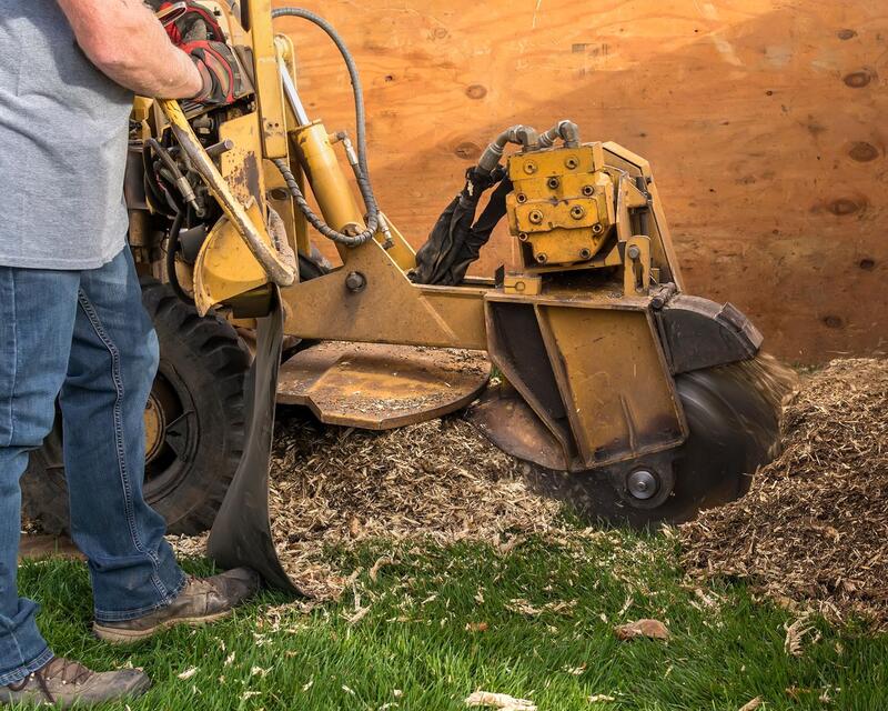 An image of Stump Grinding/Removal Services in Monterey Park CA
