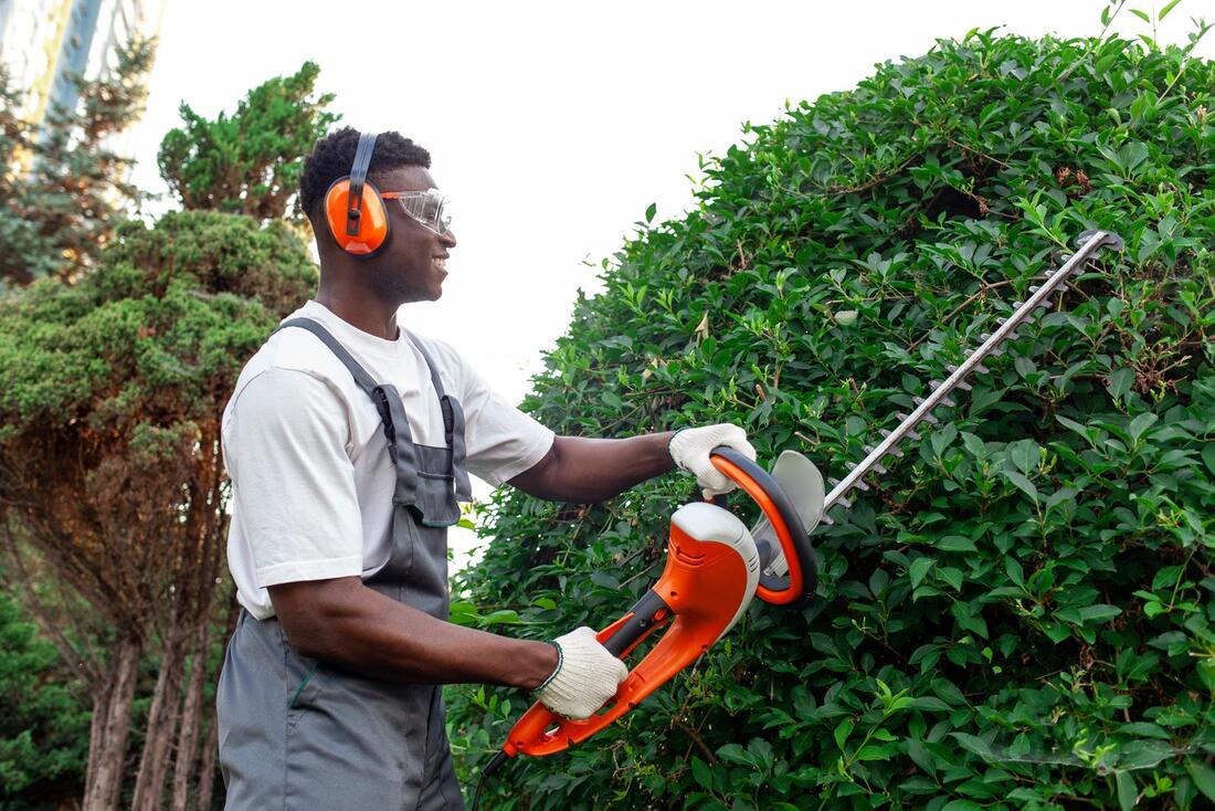 An image of Tree Trimming/Pruning Services in Monterey Park CA